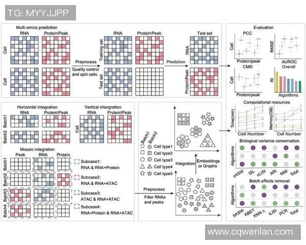 武汉篮球队在钻石联赛中的表现分析与状态评估